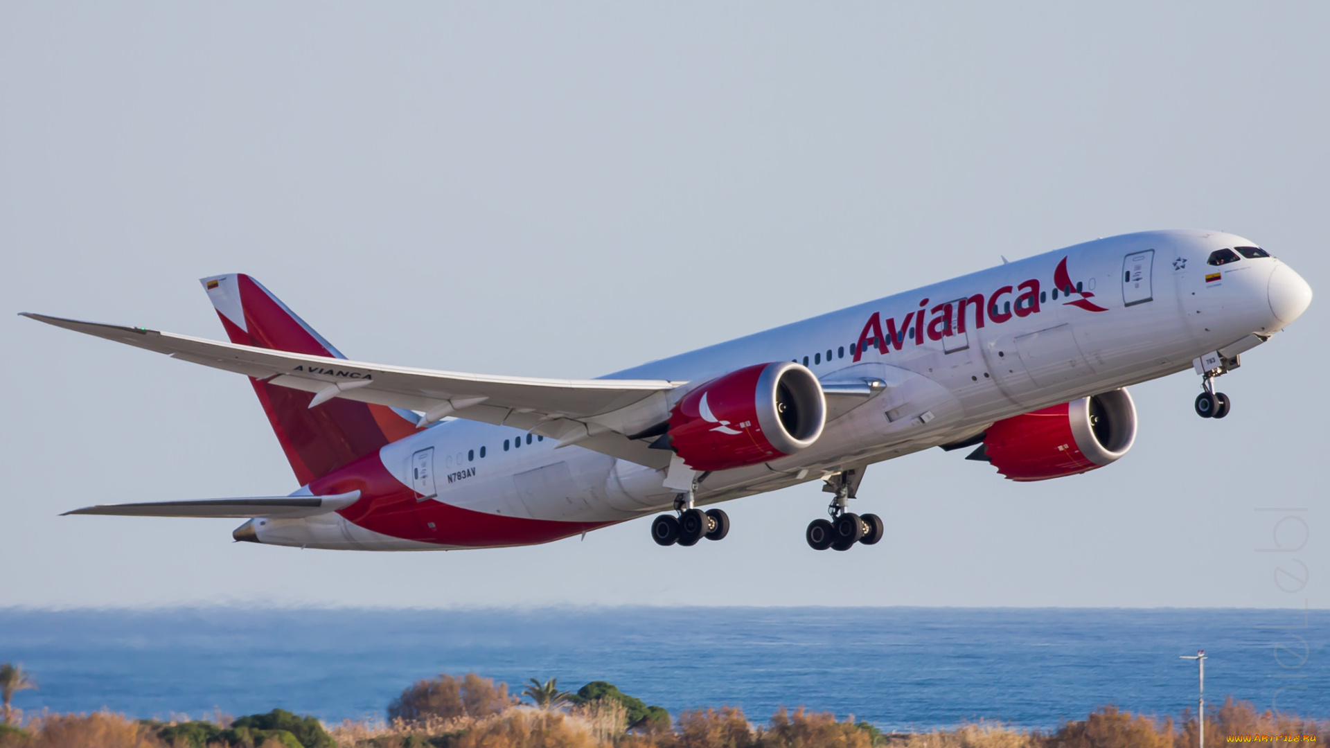 boeing, 787, авиация, пассажирские, самолёты, авиалайнер