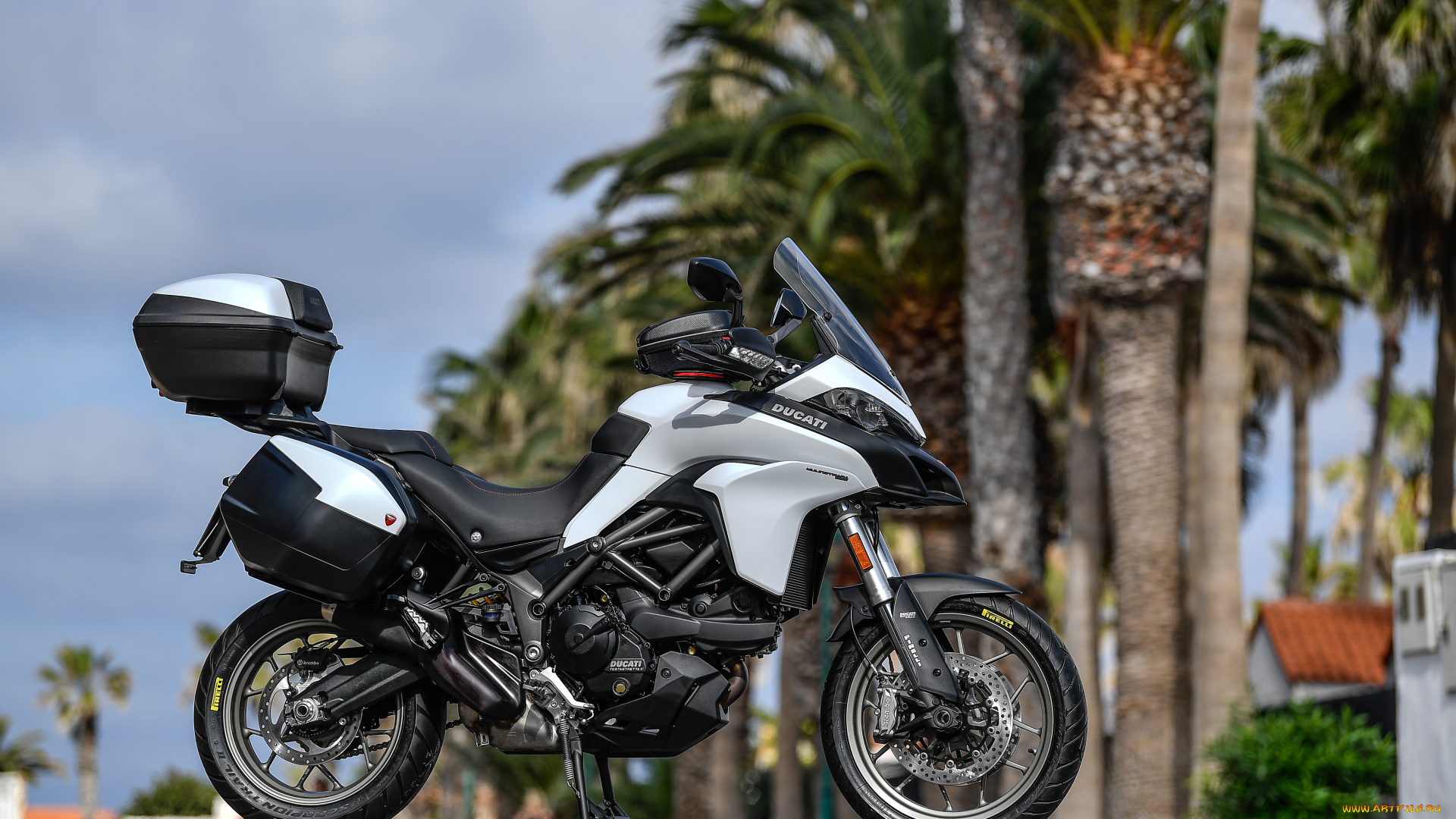 мотоциклы, ducati