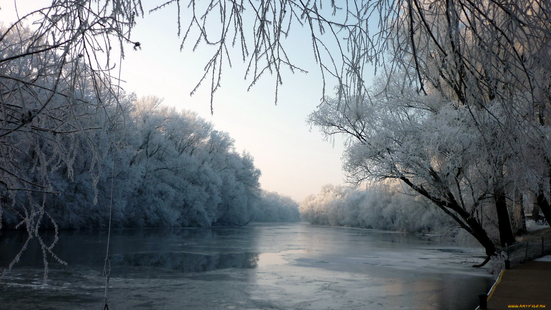 природа, реки, озера, иней, деревья