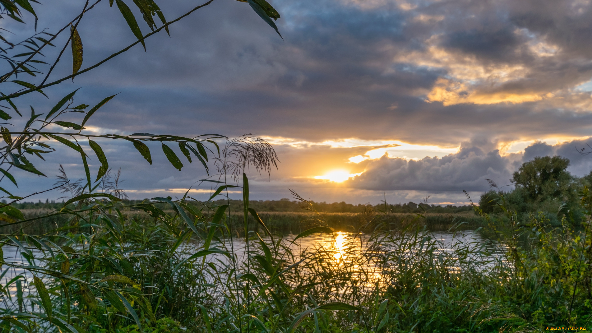 природа, реки, озера, рассвет