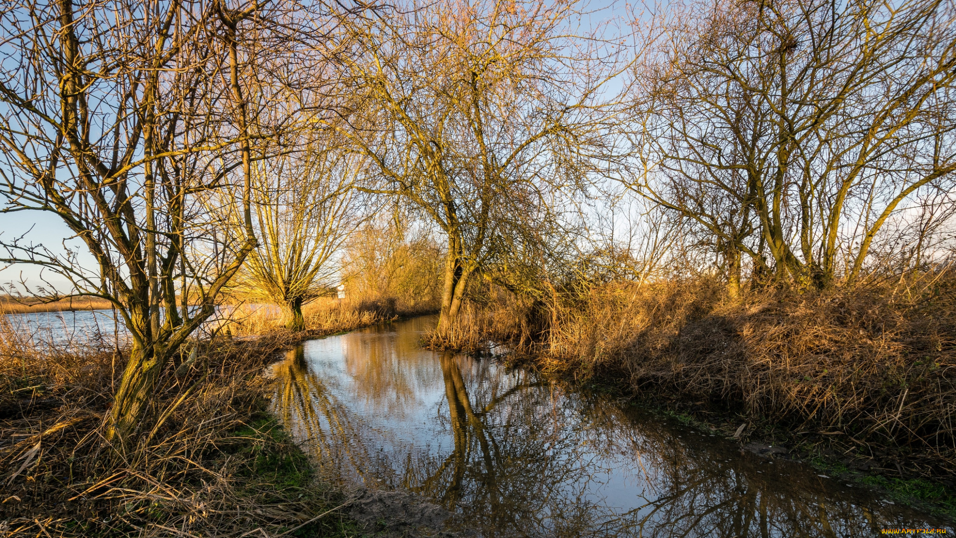 природа, реки, озера, рассвет
