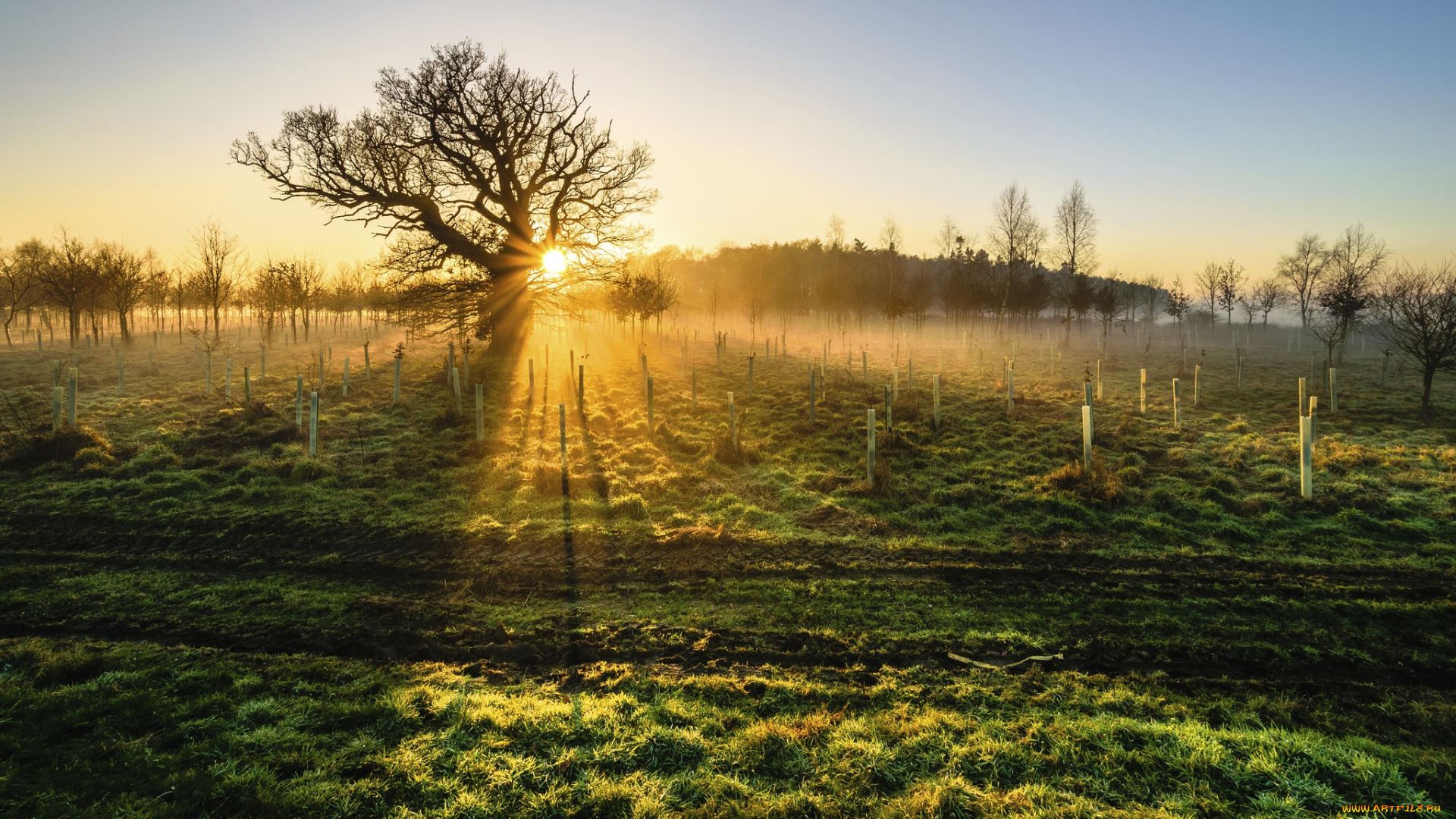 природа, восходы, закаты, рассвет