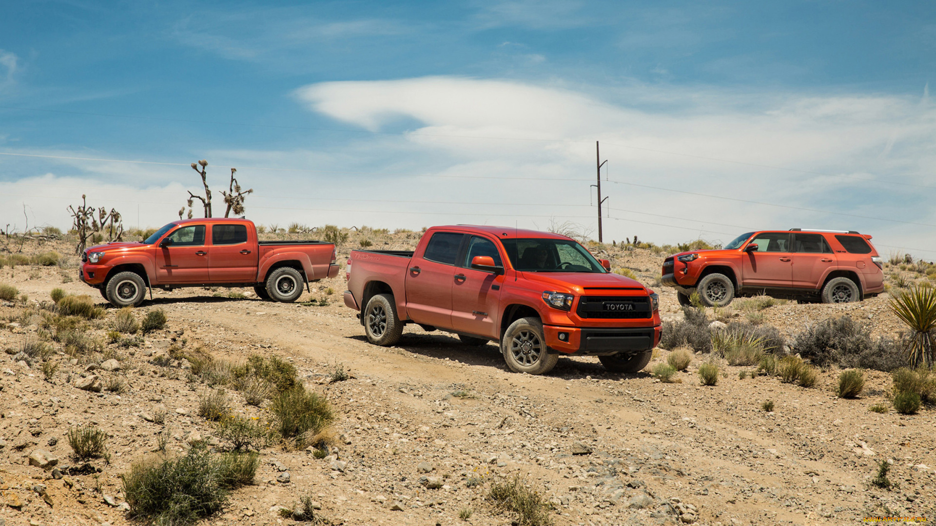 toyota, tacoma, trd, pro, series, 2015, автомобили, toyota, tacoma, trd, pro, series, 2015