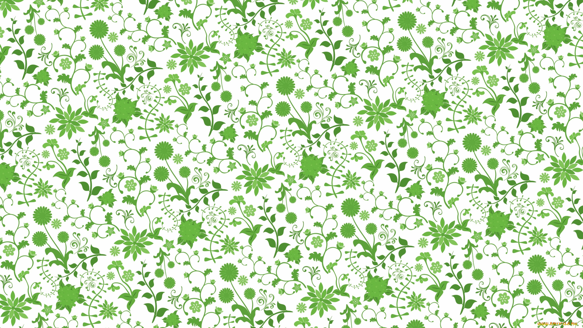 векторная, графика, цветы, , flowers, фон, узор, цвета