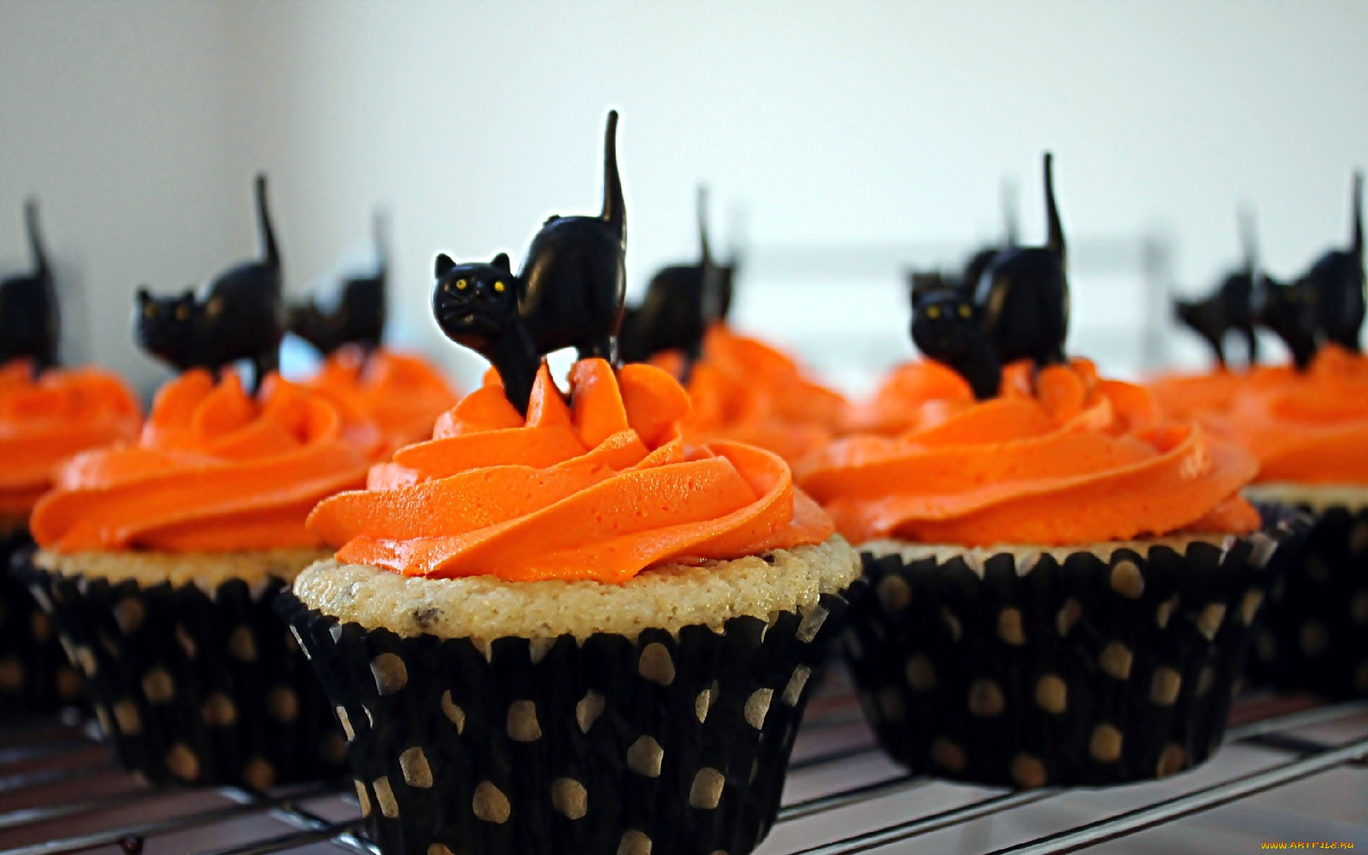 еда, пирожные, , кексы, , печенье, крем, кексы, капкейки, кошки