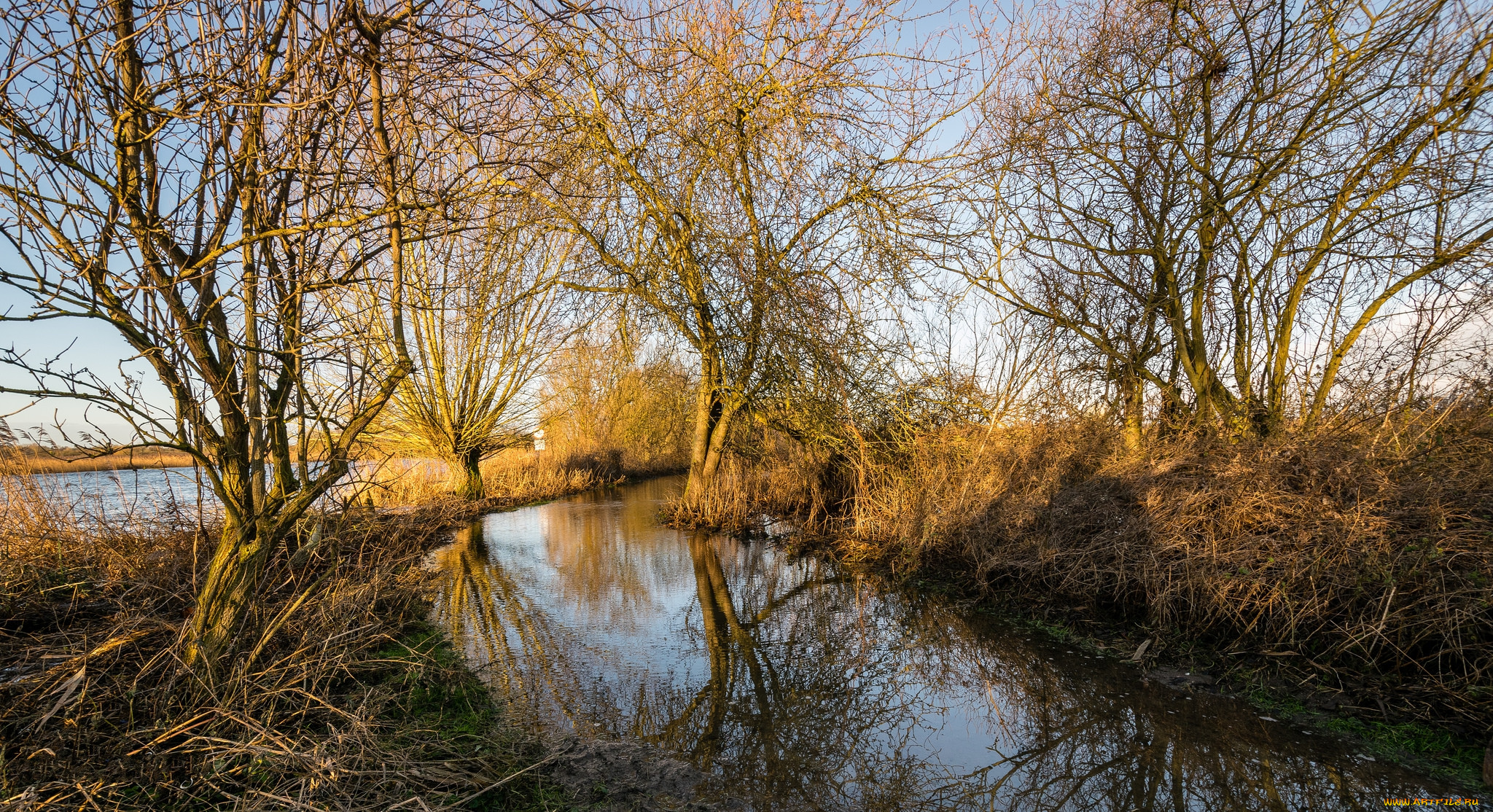 природа, реки, озера, рассвет