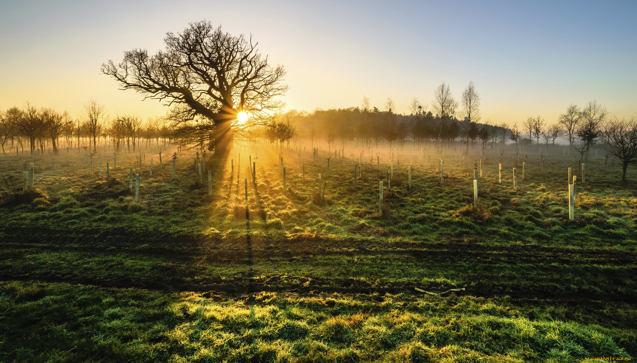 природа, восходы, закаты, рассвет