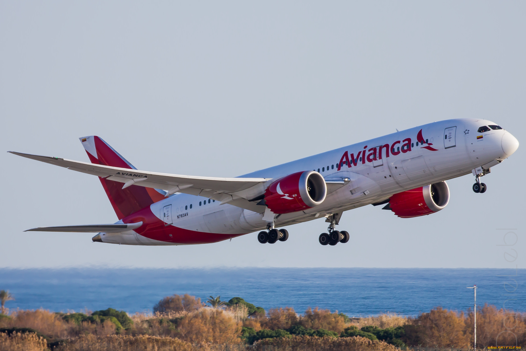 boeing, 787, авиация, пассажирские, самолёты, авиалайнер