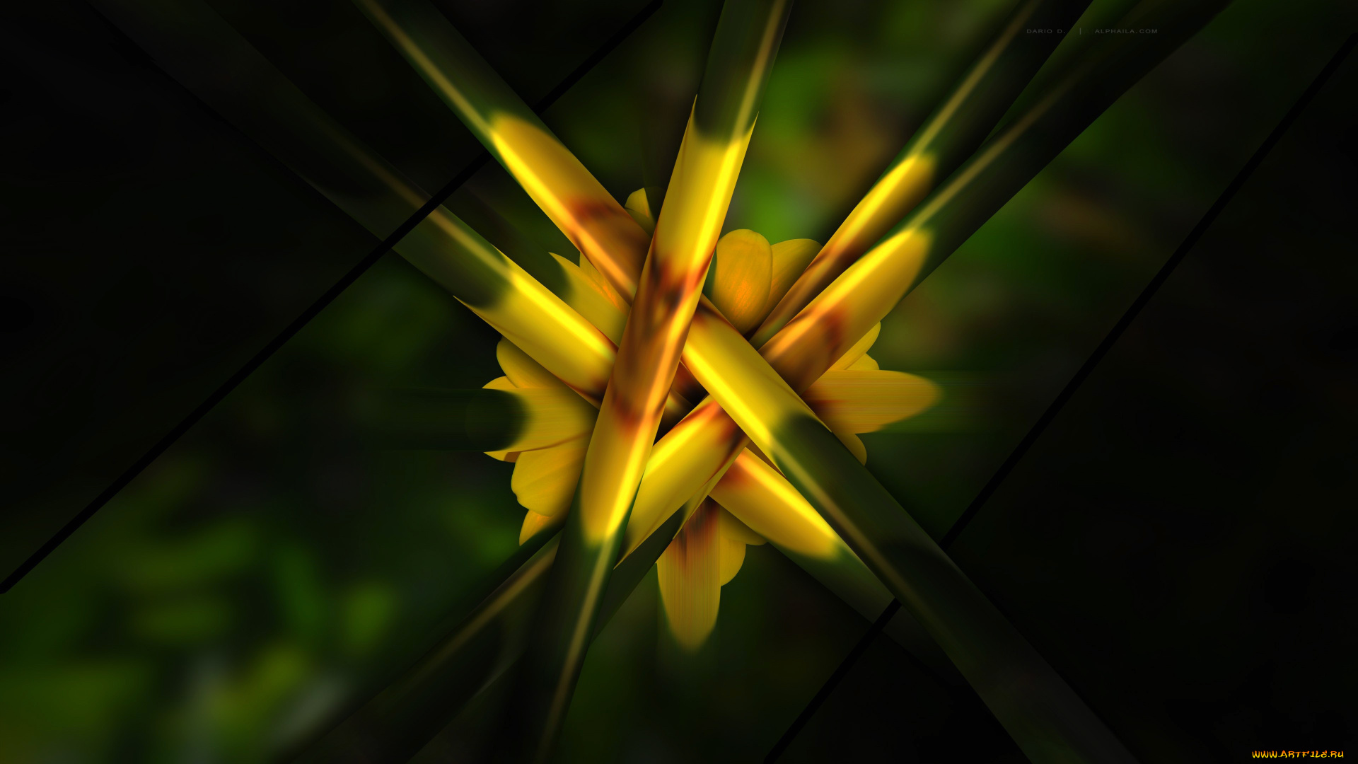 3д, графика, абстракция, , abstract, краски, рендеринг, объем, линии