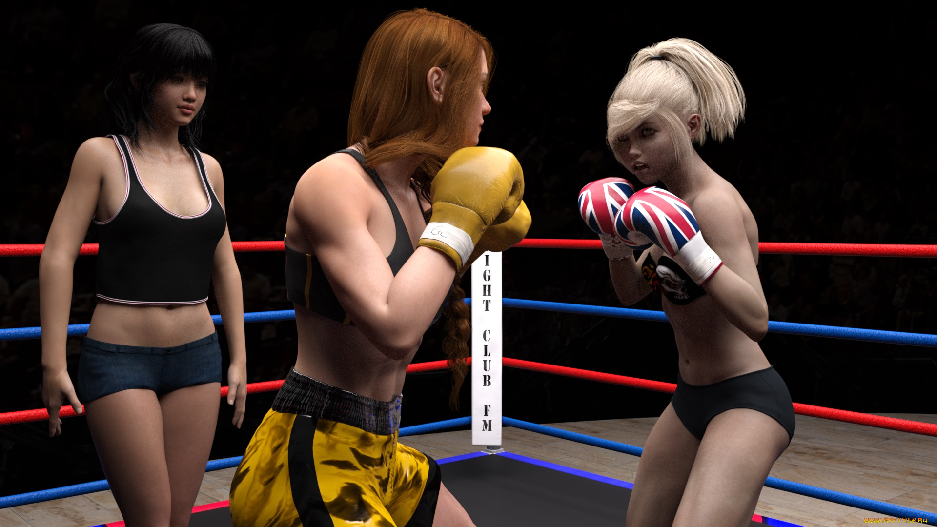 3д, графика, спорт, , sport, девушки, ринг, бокс, фон, взгляд
