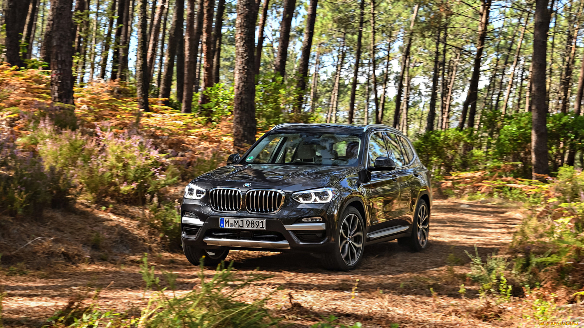 bmw, x3, xdrive30d, 2018, автомобили, bmw, x3, xdrive30d, 2018, чёрный