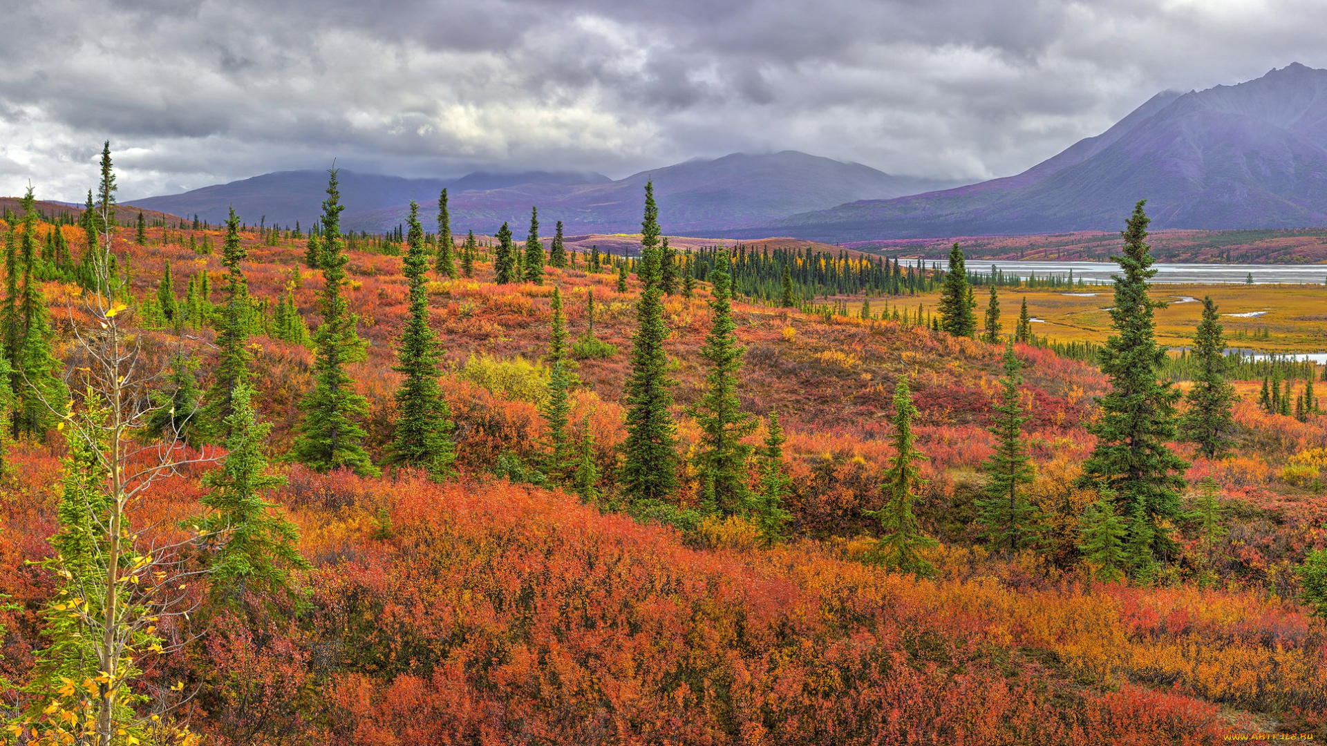 природа, пейзажи, кустики, ели, горы, деревья, осень