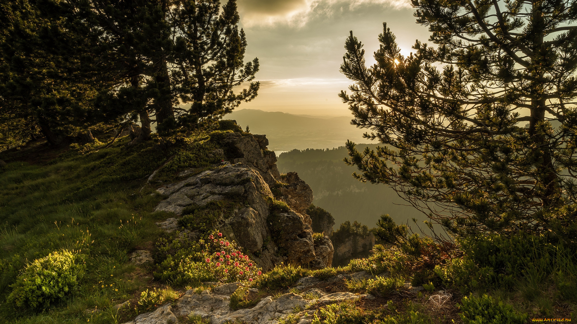 природа, пейзажи, простор