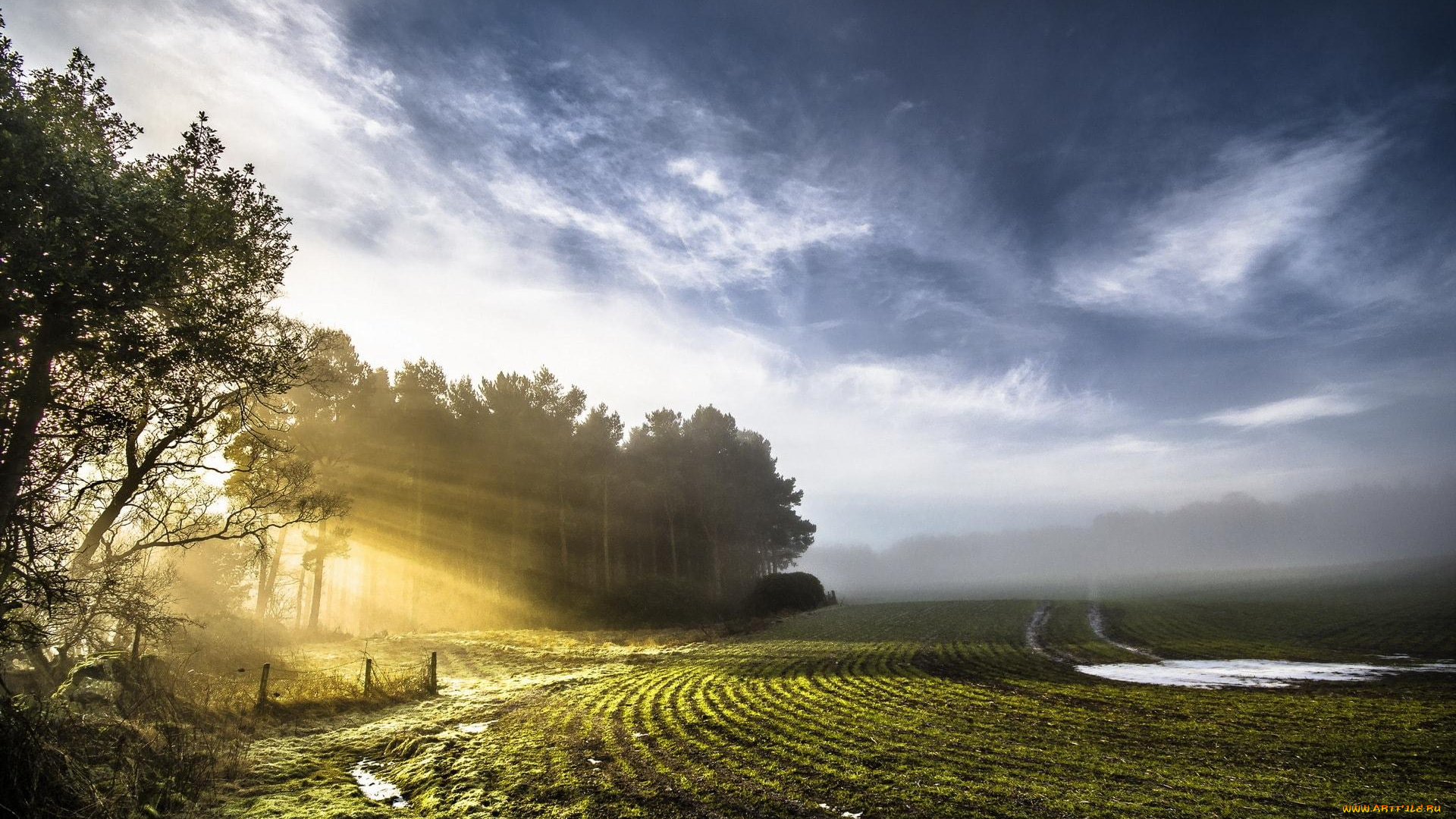 природа, поля, поле, тучи, лучи, изгородь, деревья, лужи, небо
