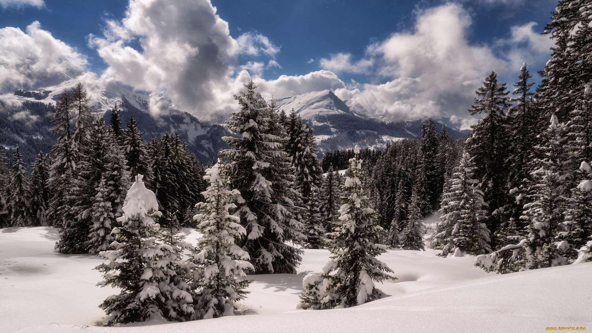 природа, зима, простор