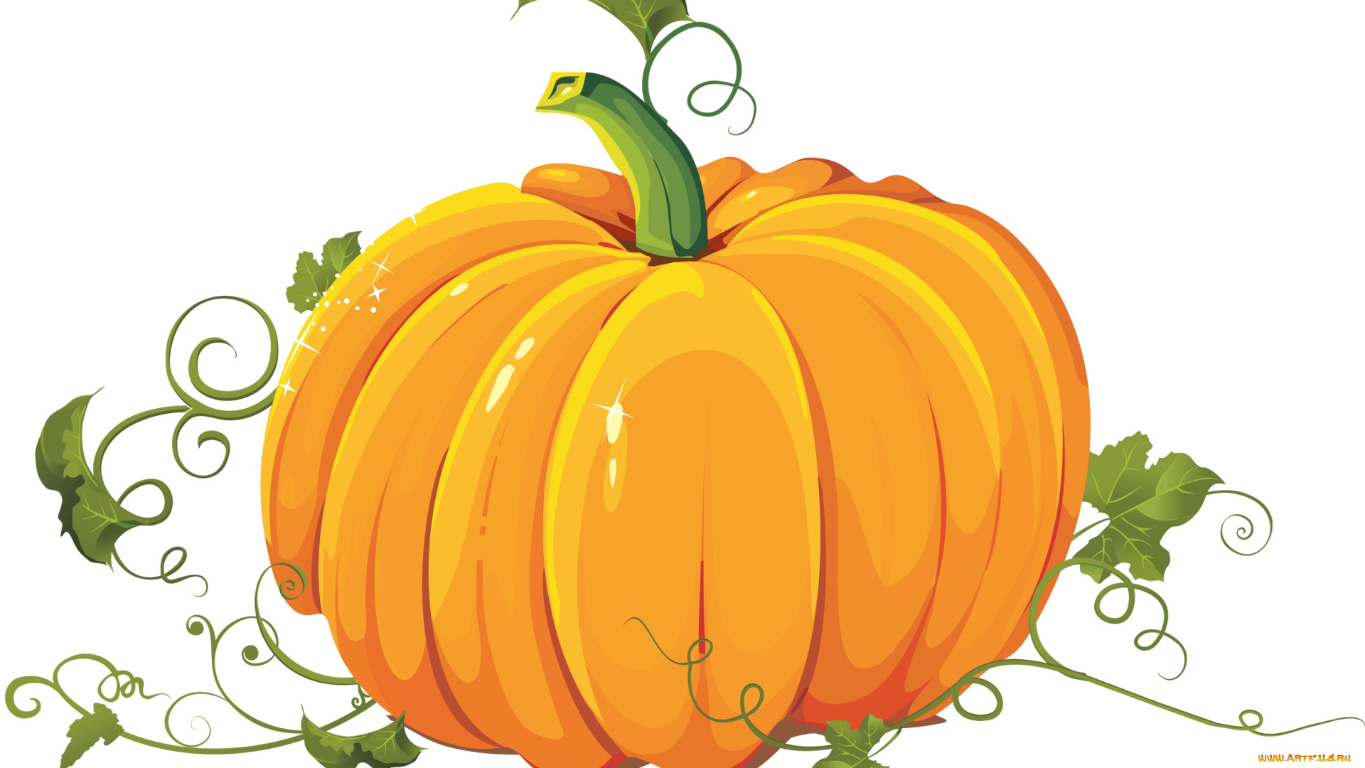векторная, графика, еда, , food, тыква