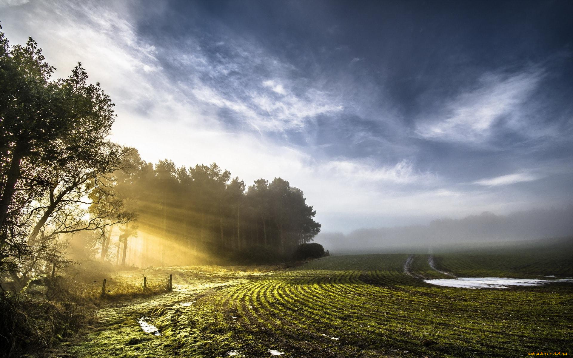 природа, поля, поле, тучи, лучи, изгородь, деревья, лужи, небо