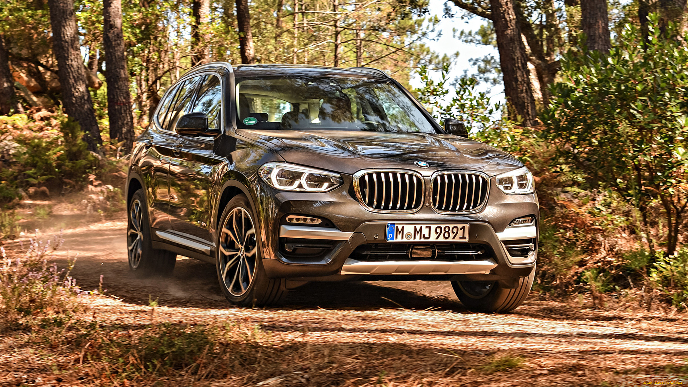 bmw, x3, xdrive30d, 2018, автомобили, bmw, x3, xdrive30d, 2018, чёрный