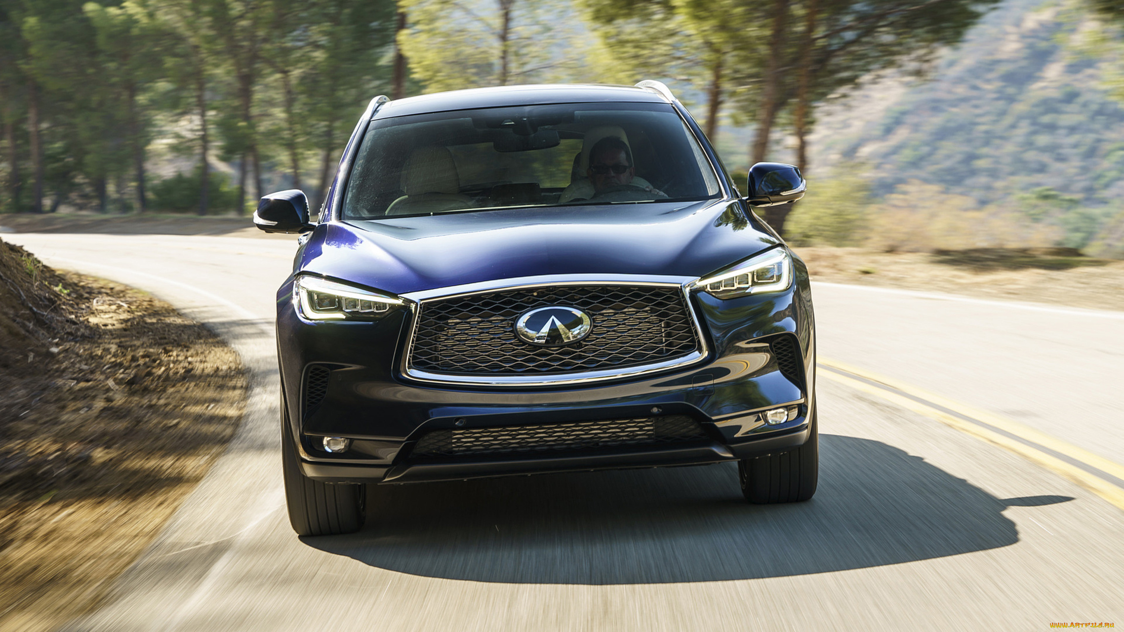 infiniti, qx50, 2019, автомобили, infiniti, qx50, 2019, blue