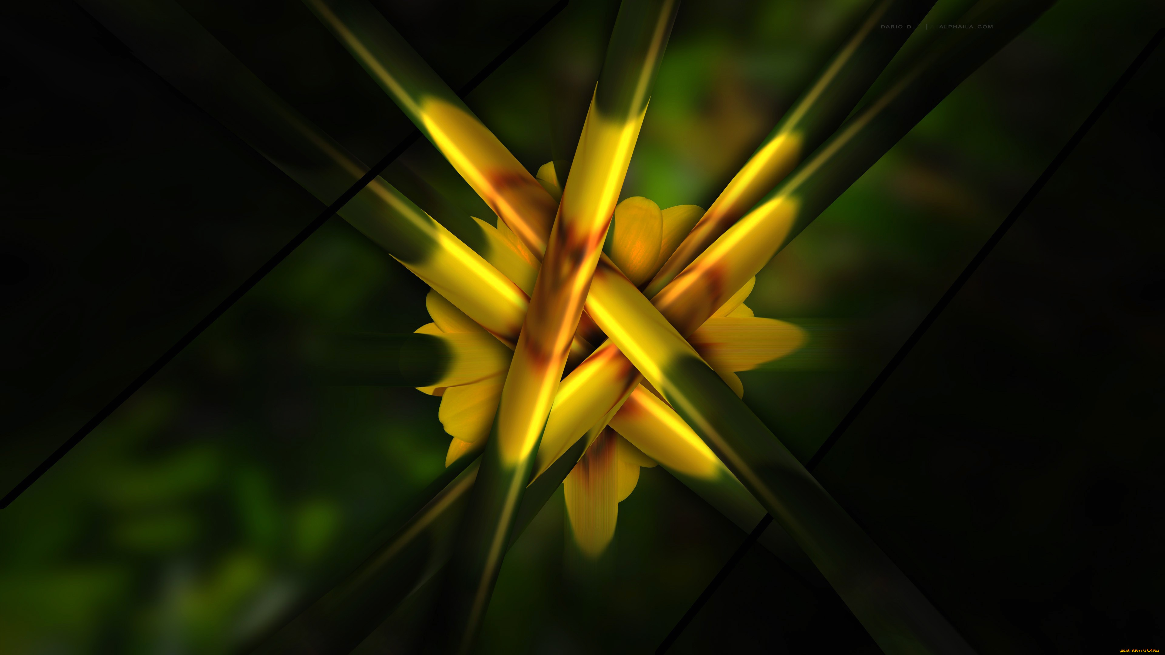 3д, графика, абстракция, , abstract, краски, рендеринг, объем, линии