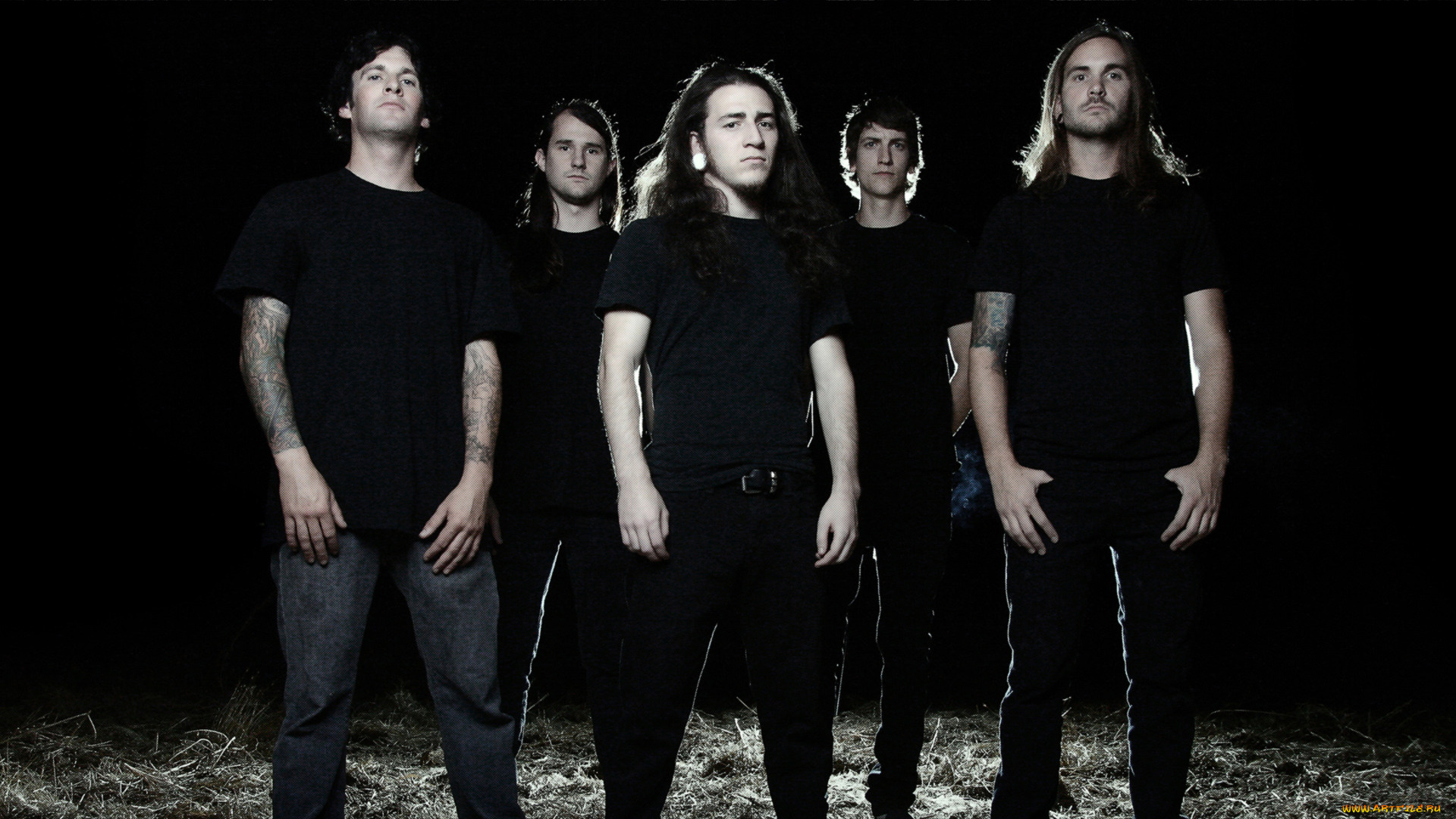 circle-of-contempt-, музыка, conducting, from, the, grave, группа