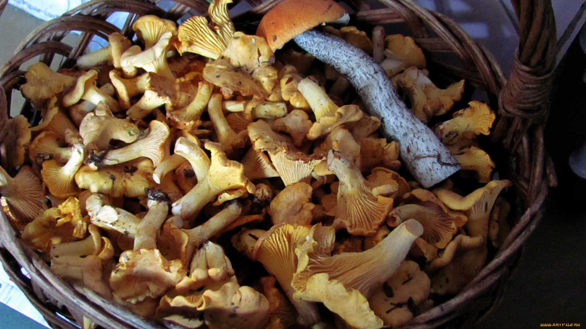 еда, грибы, , грибные, блюда, лисички