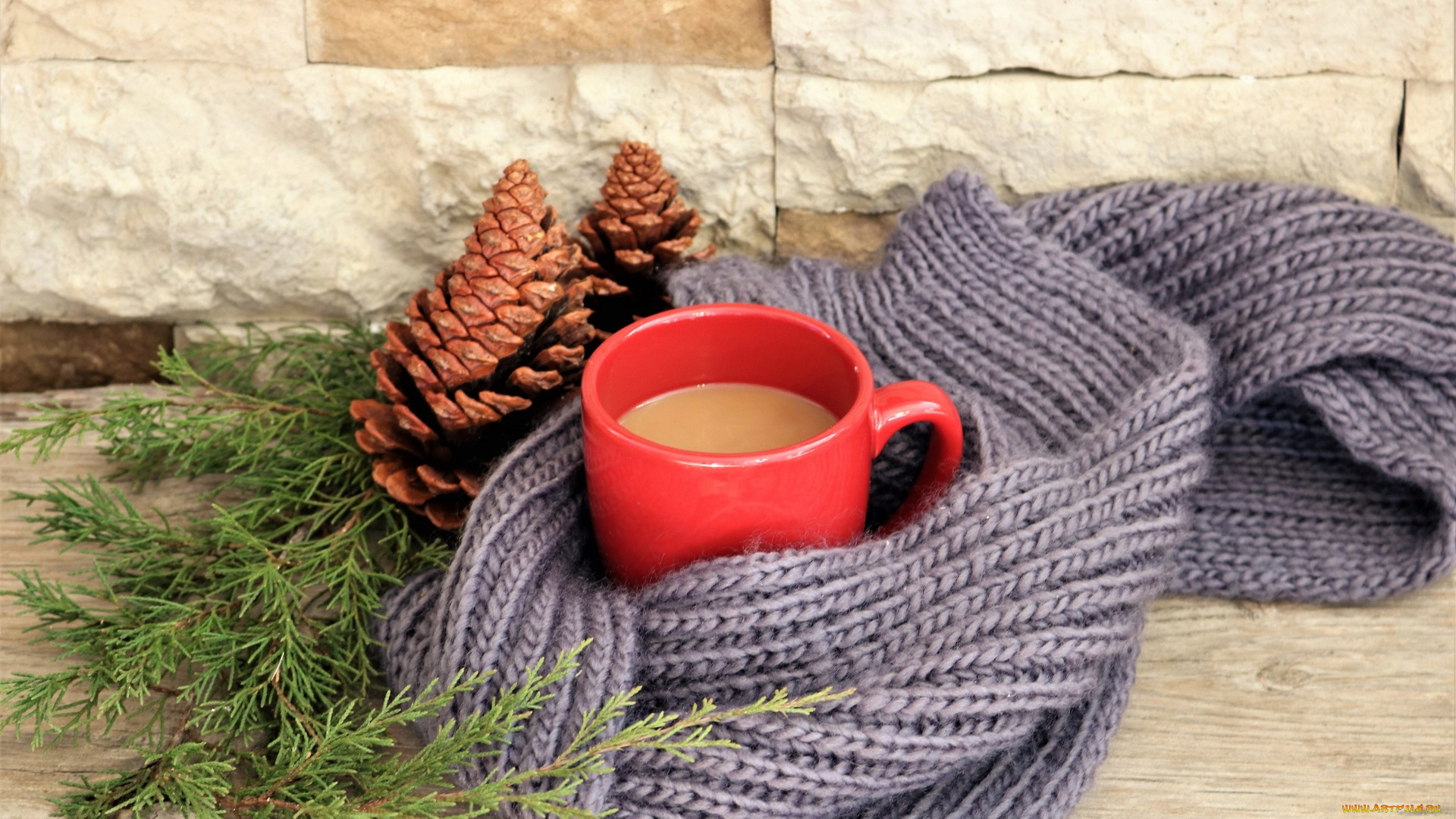 еда, кофе, , кофейные, зёрна