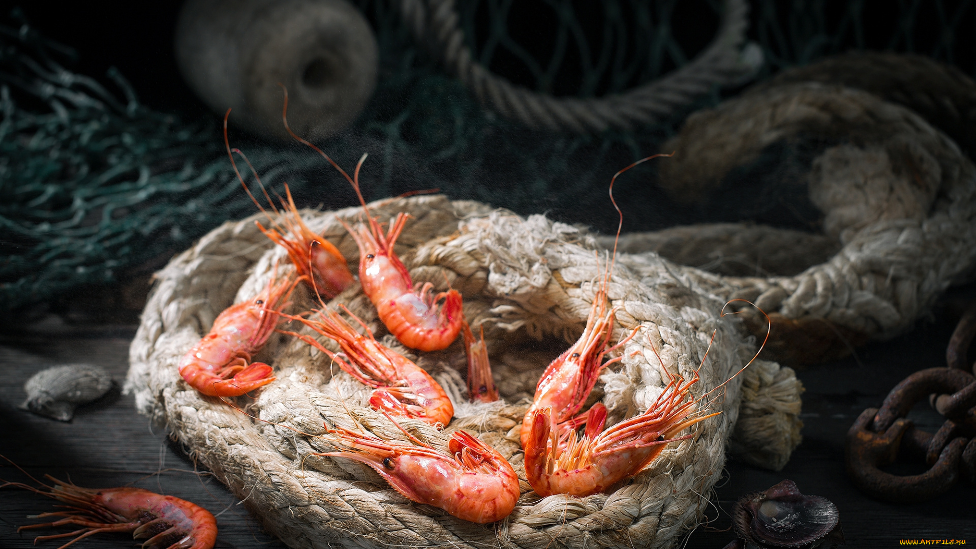 еда, рыба, , морепродукты, , суши, , роллы, снедь