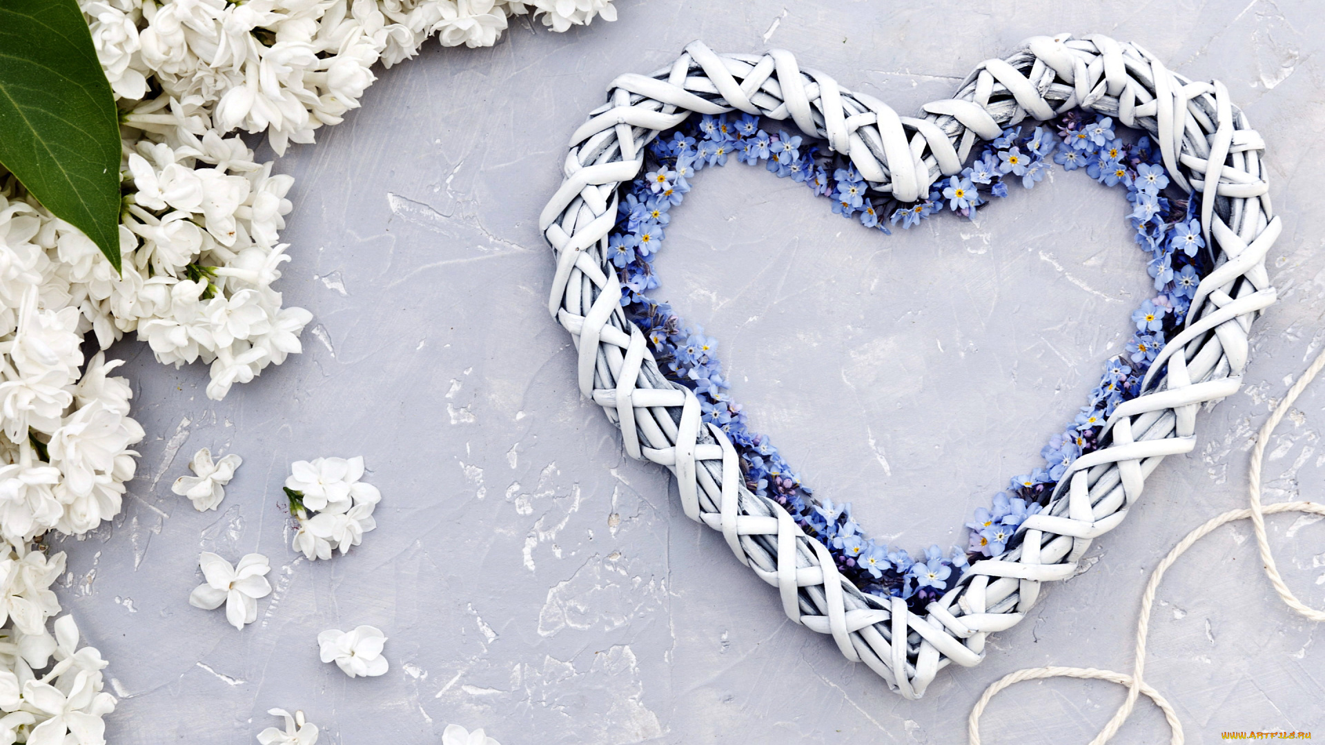 праздничные, день, святого, валентина, , сердечки, , любовь, незабудки, сердце, сирень