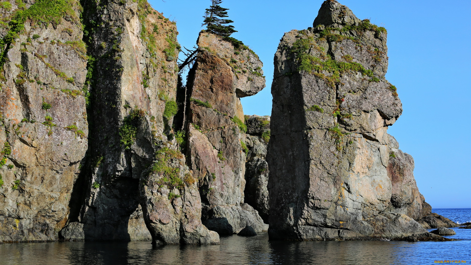 шикотан, природа, побережье, курилы, остров, россия, скалы, берег