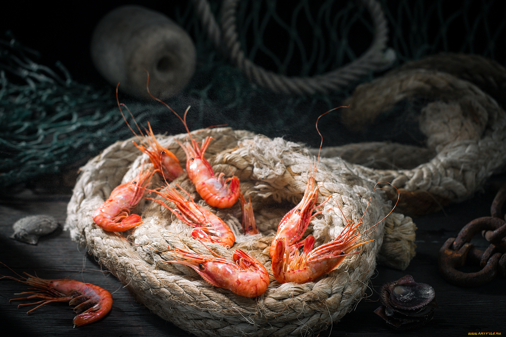 еда, рыба, , морепродукты, , суши, , роллы, снедь