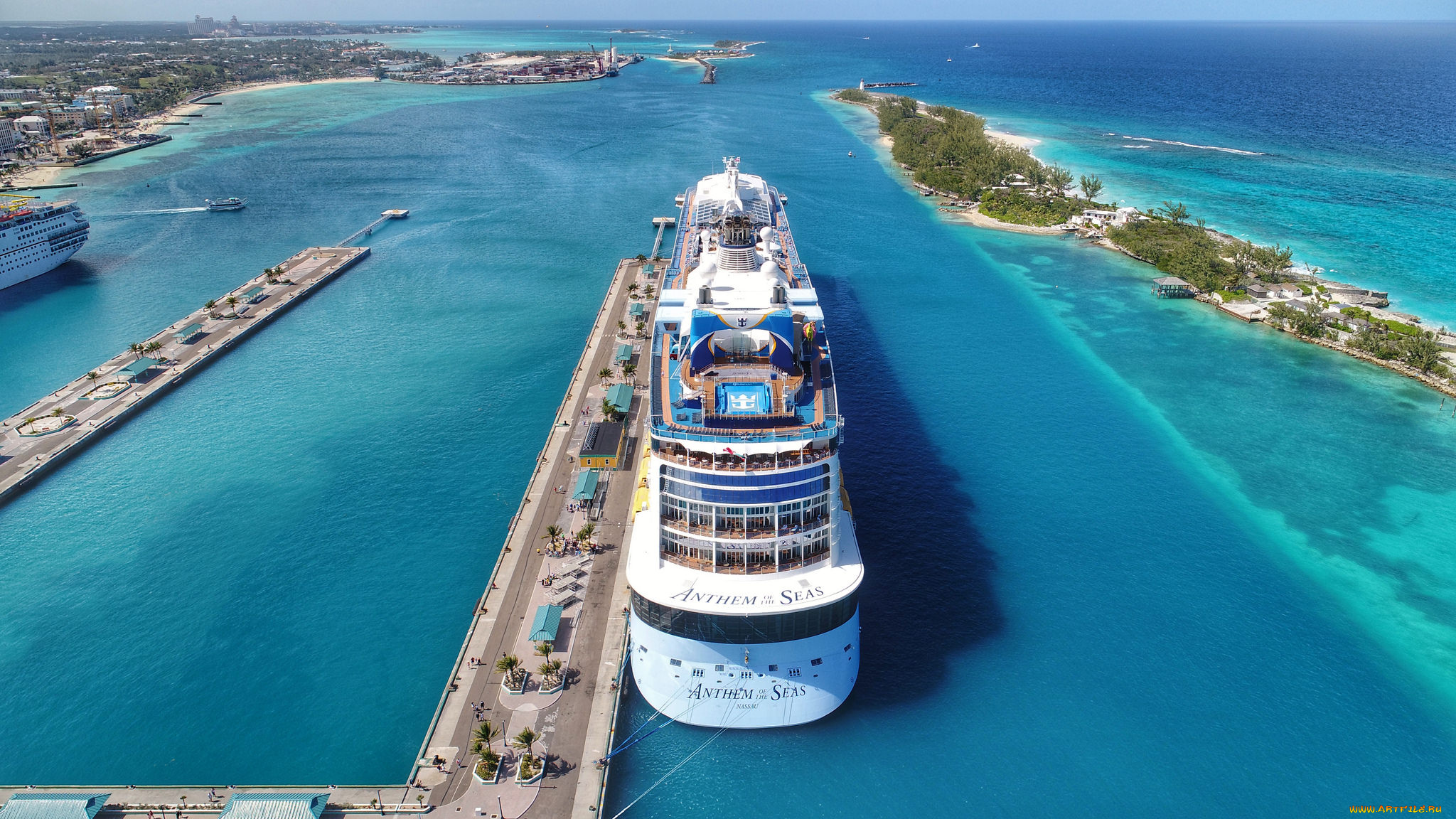 anthem, of, the, seas, корабли, лайнеры, круиз, лайнер