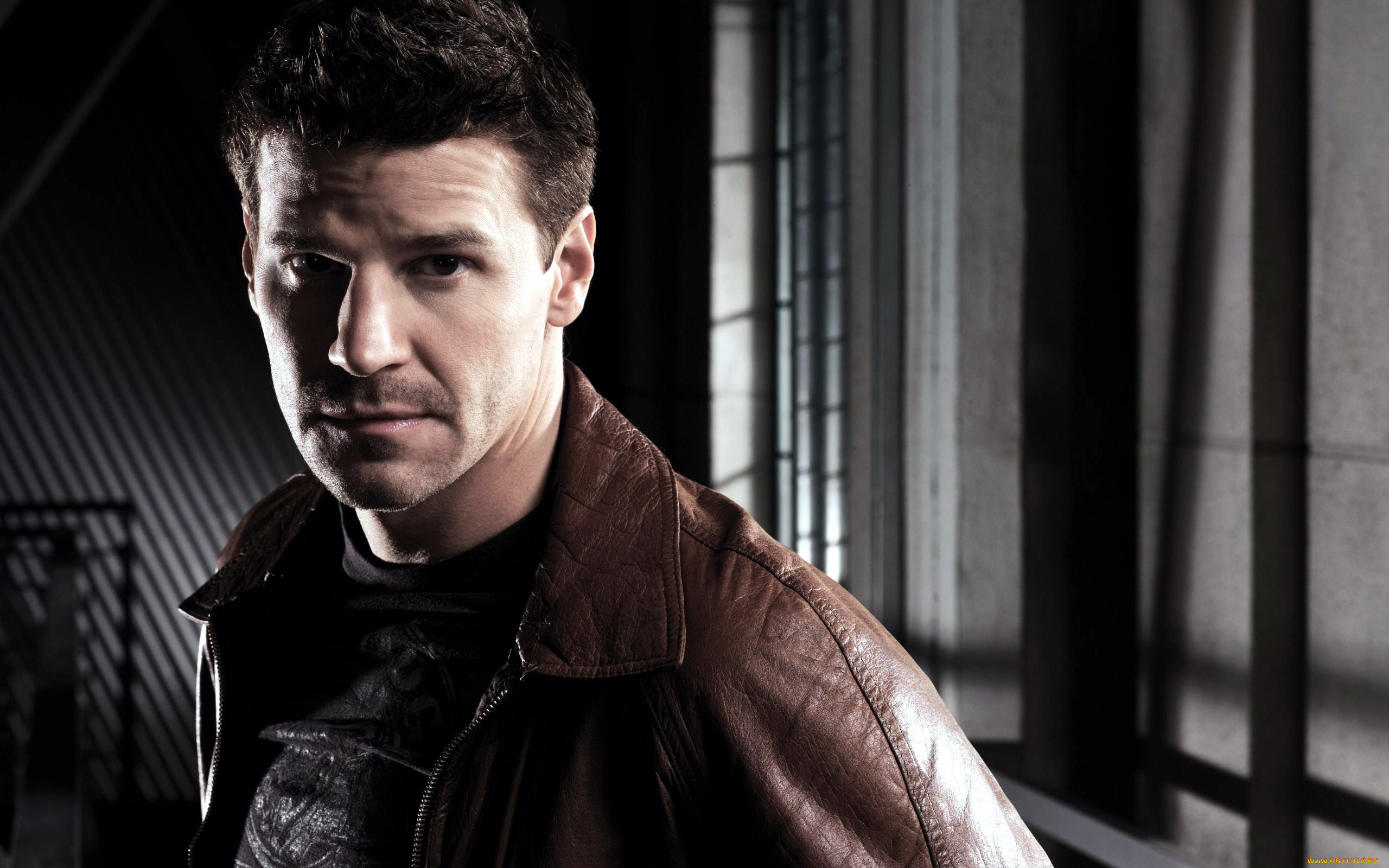 кино, фильмы, bones, david, boreanaz