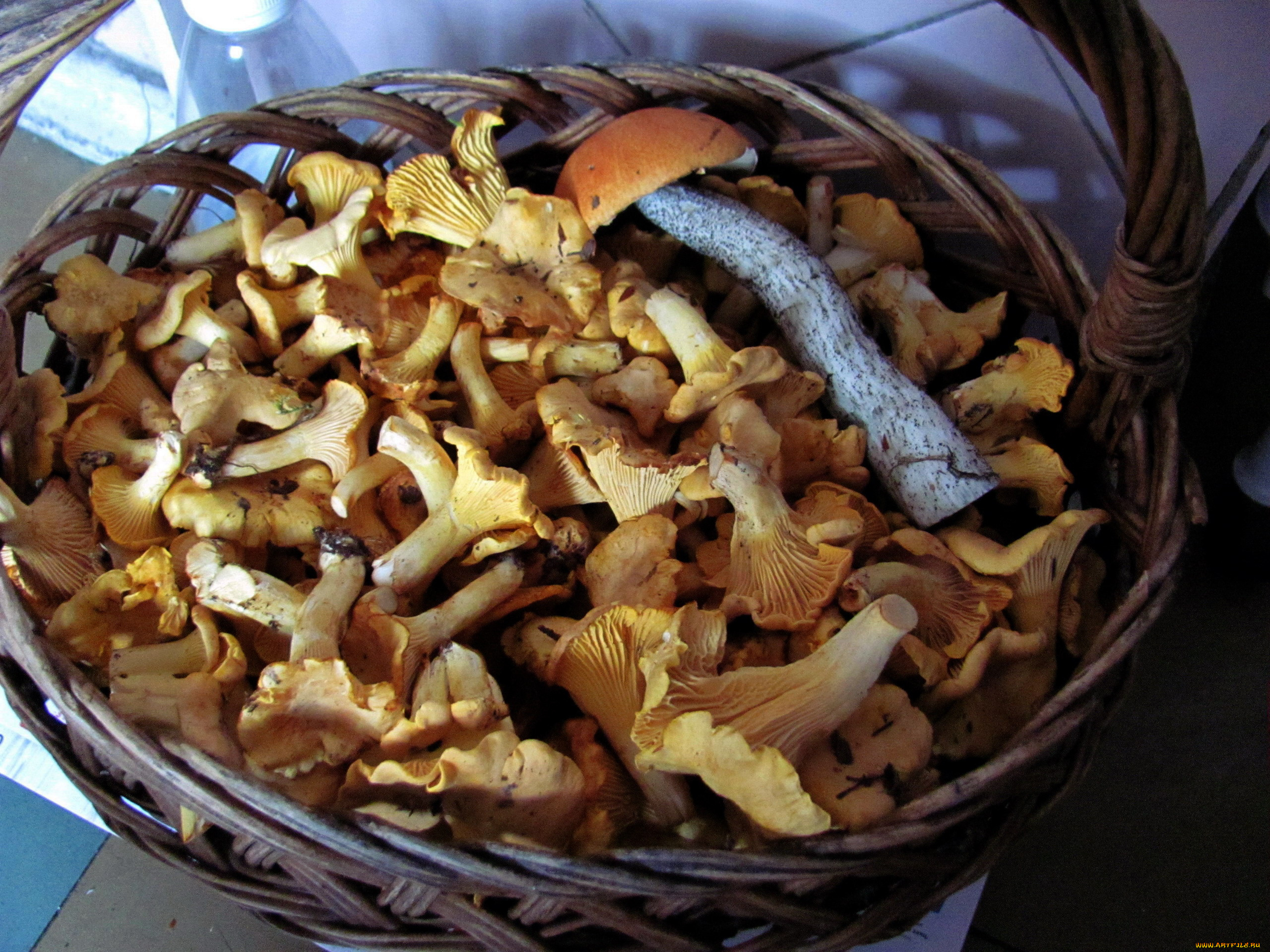 еда, грибы, , грибные, блюда, лисички