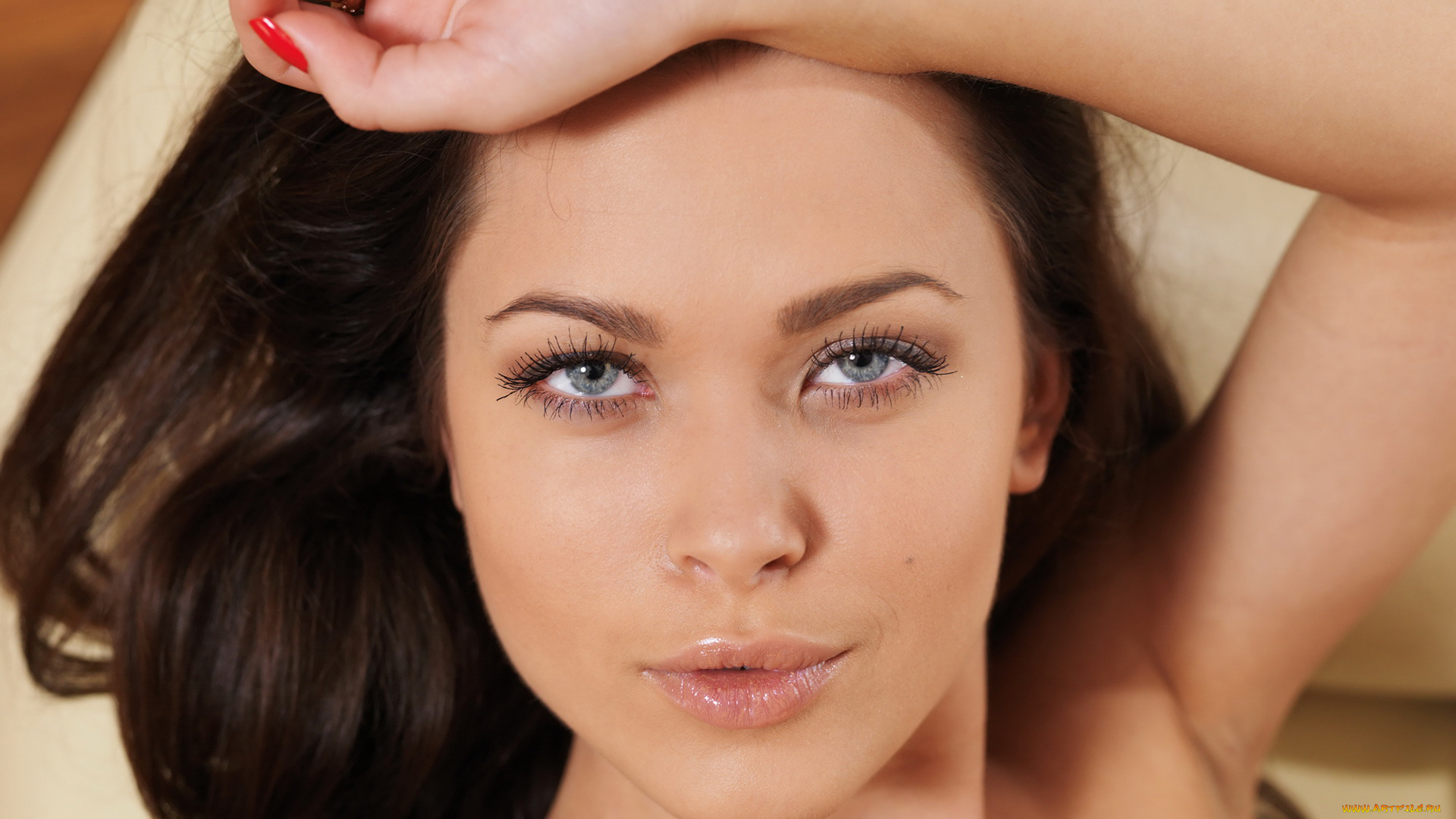 alina, mayer, девушки, alina, mayer, , алина, паневская, , amelie, b, красотка, модель, флирт, причёска, макияж, портрет, взгляд, поза, лицо, девушка, amelie, b, алина, паневская, alina, mayer