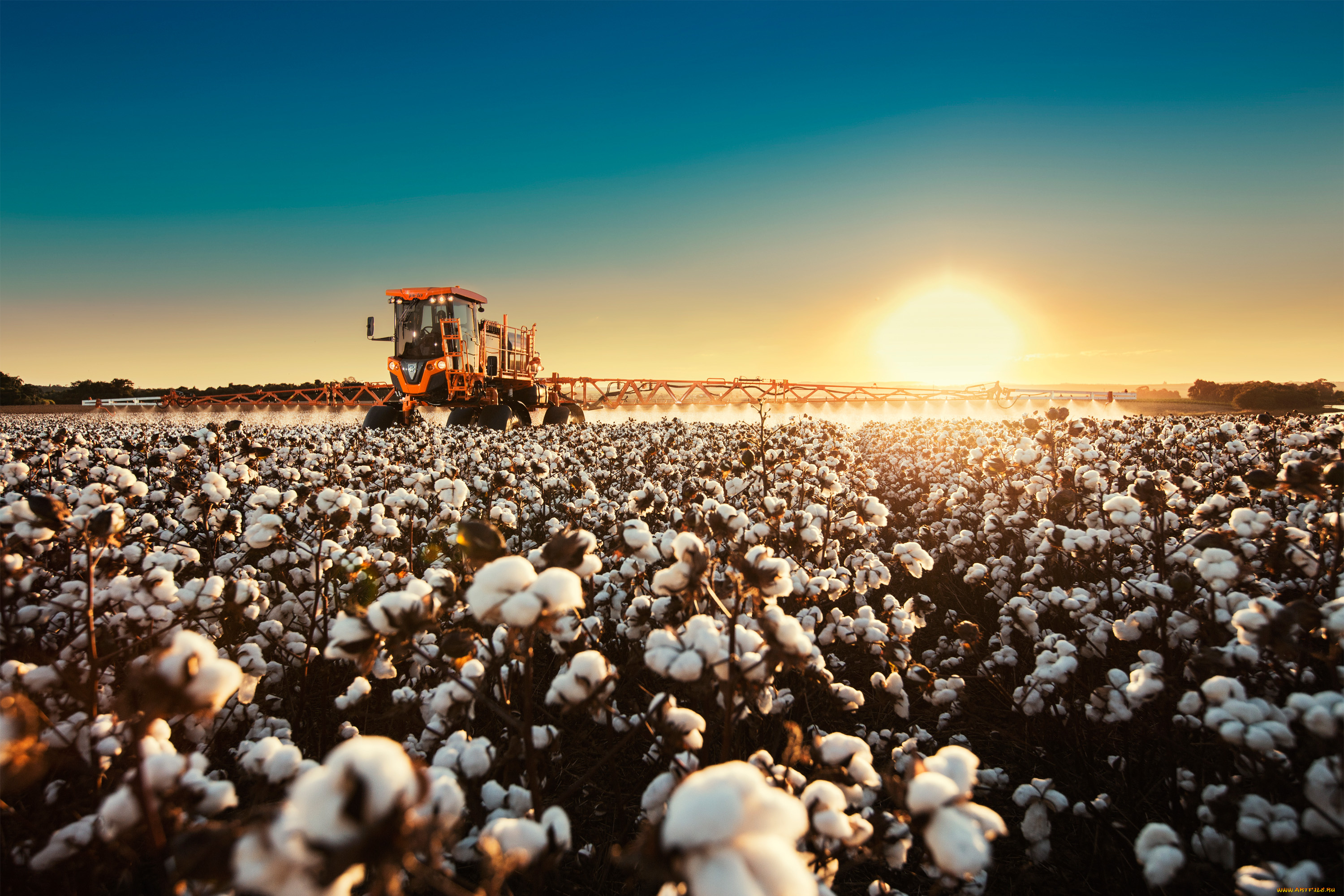 техника, распылители, jacto