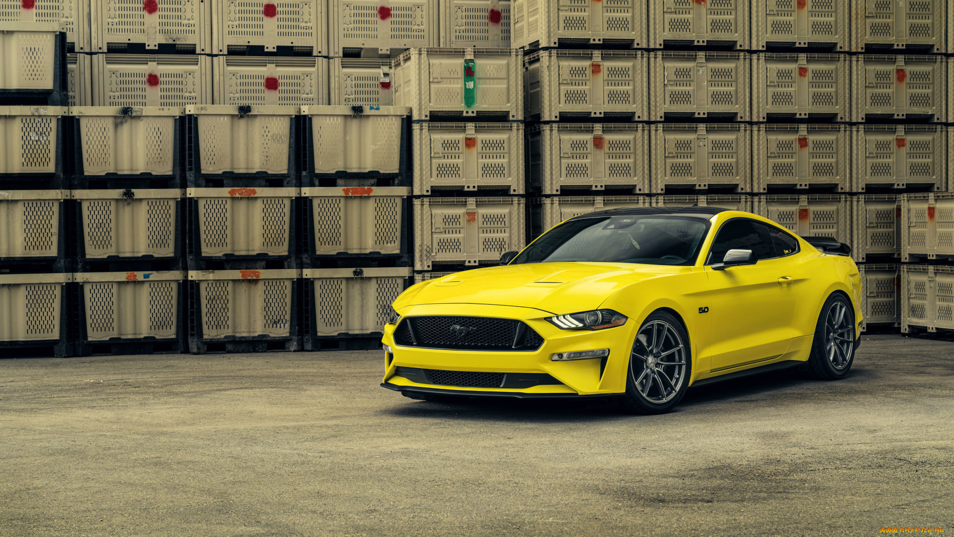 автомобили, mustang, 2023, velgen, yellow, ford, купе, желтый, форд, мустанг