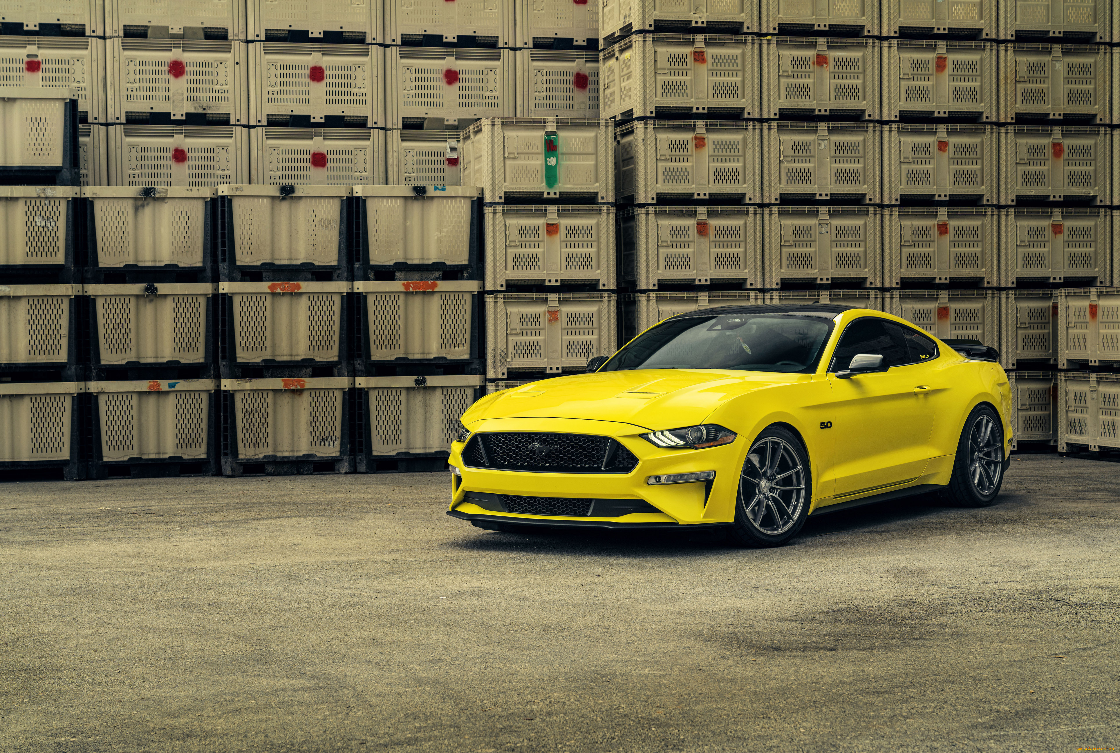 автомобили, mustang, 2023, velgen, yellow, ford, купе, желтый, форд, мустанг