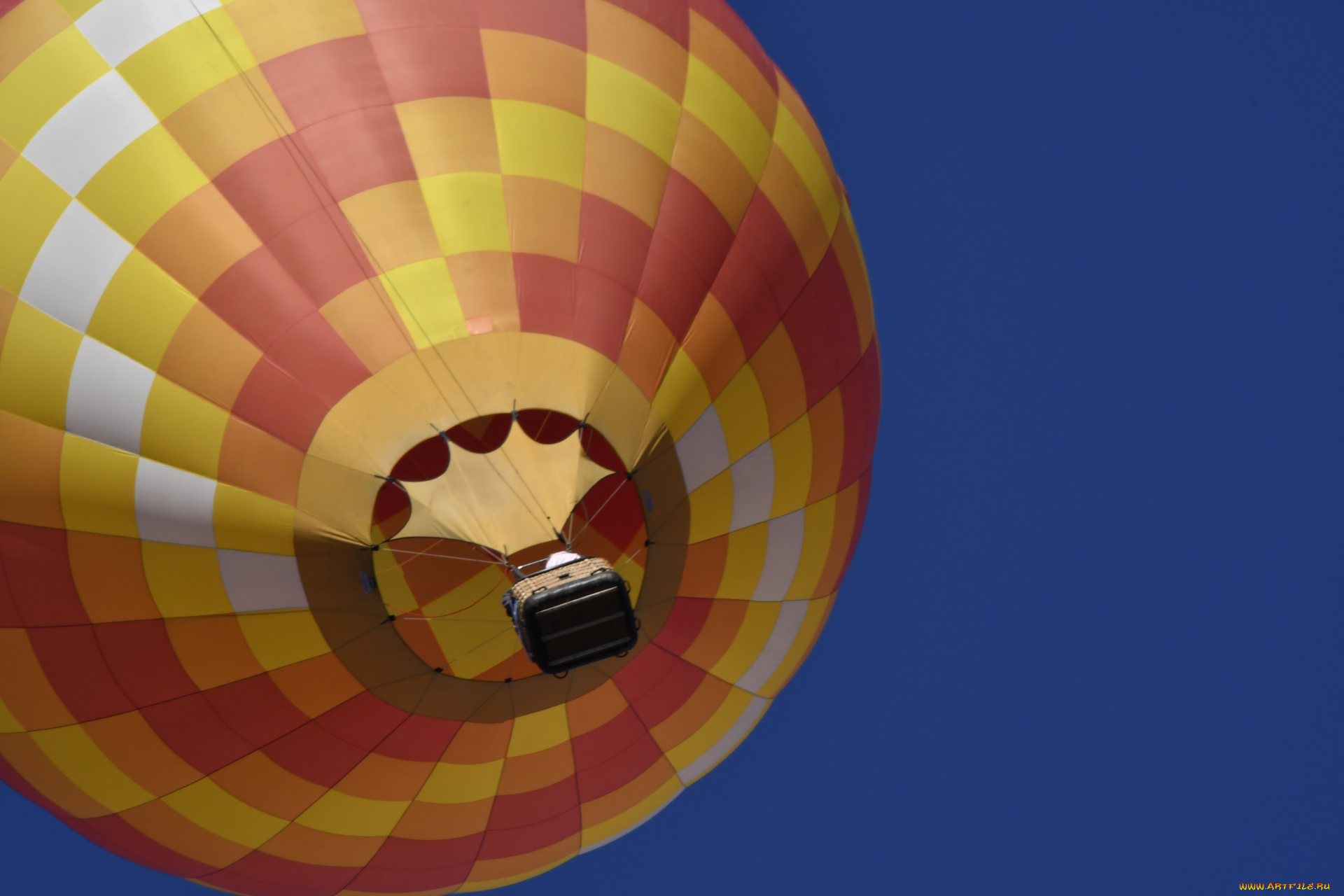авиация, воздушные, шары, дирижабли, albuquerque, balloon, festival
