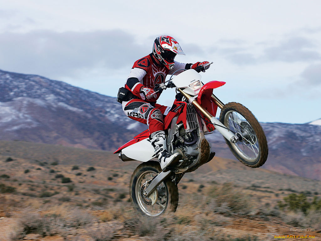 honda, crf450x, спорт, мотокросс