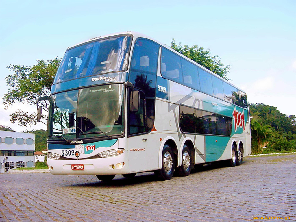 автомобили, автобусы