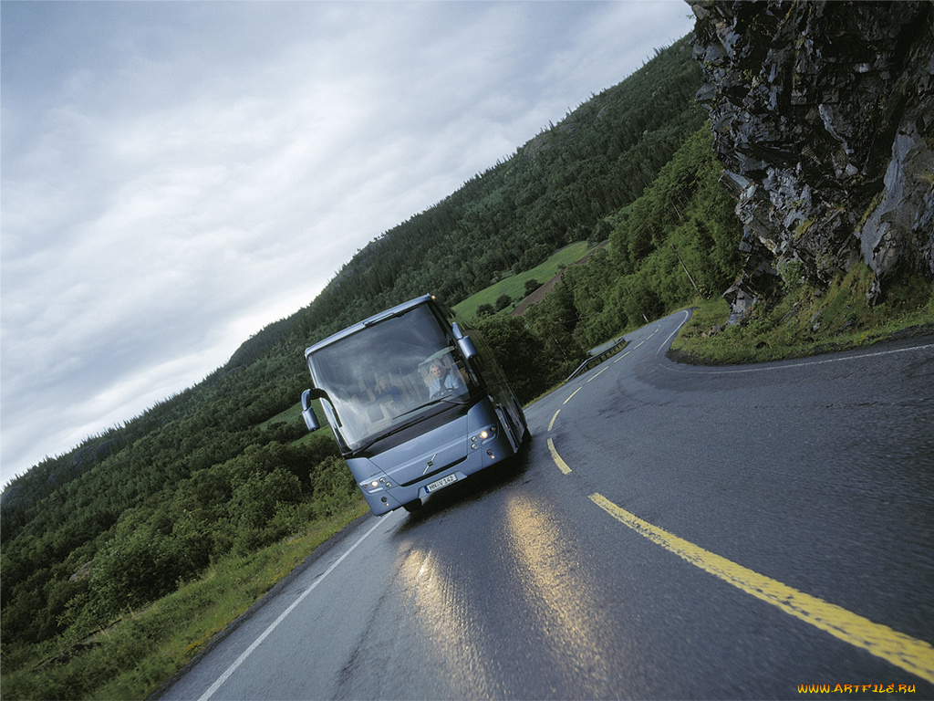 автомобили, автобусы