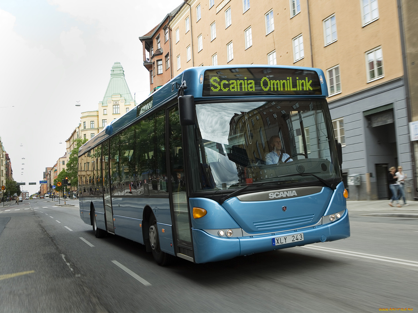 автомобили, автобусы