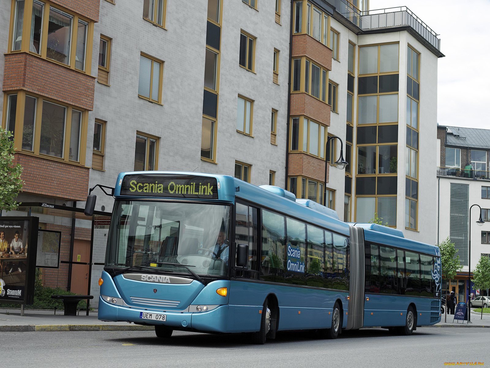 автомобили, автобусы