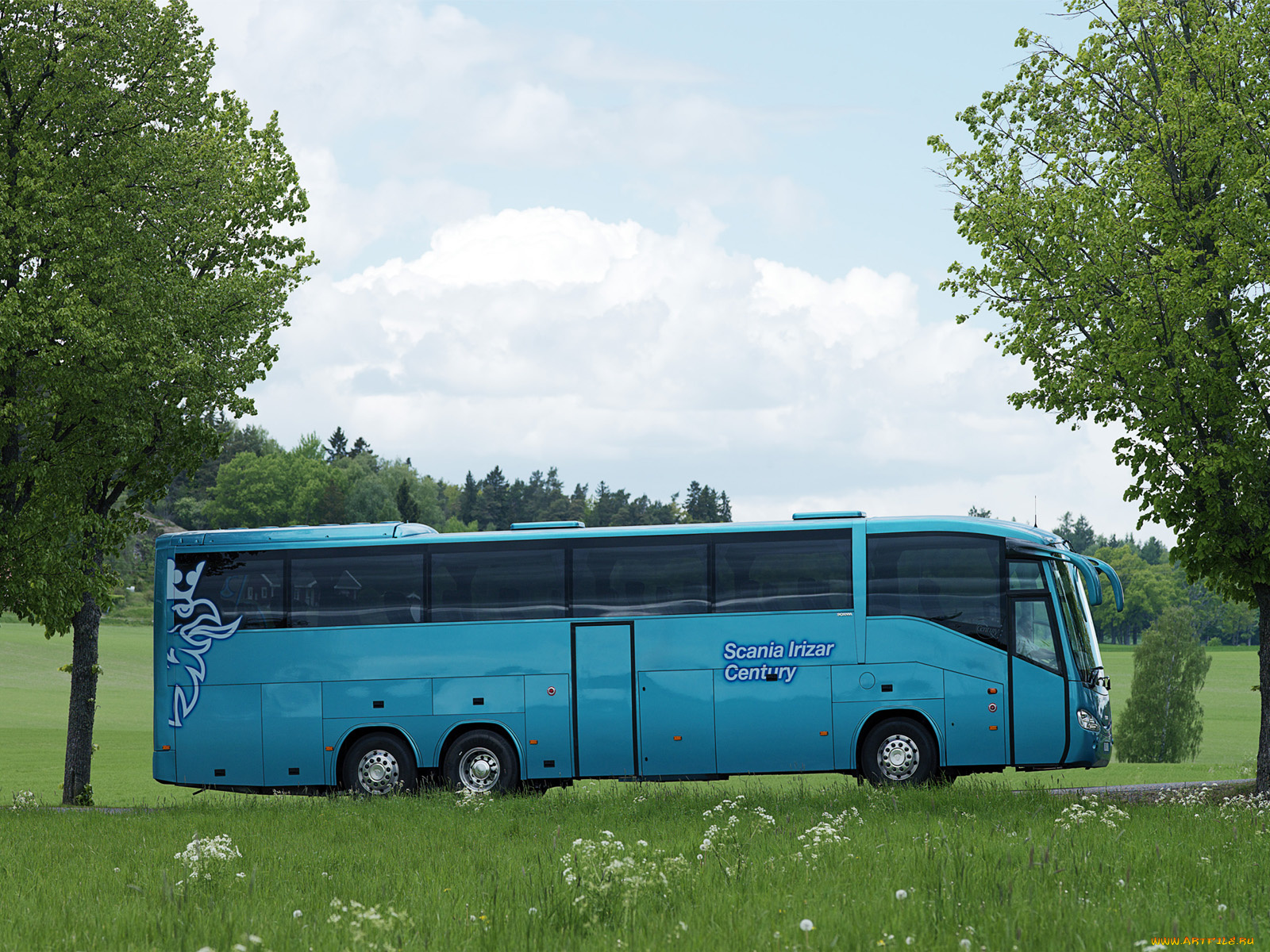 автомобили, автобусы