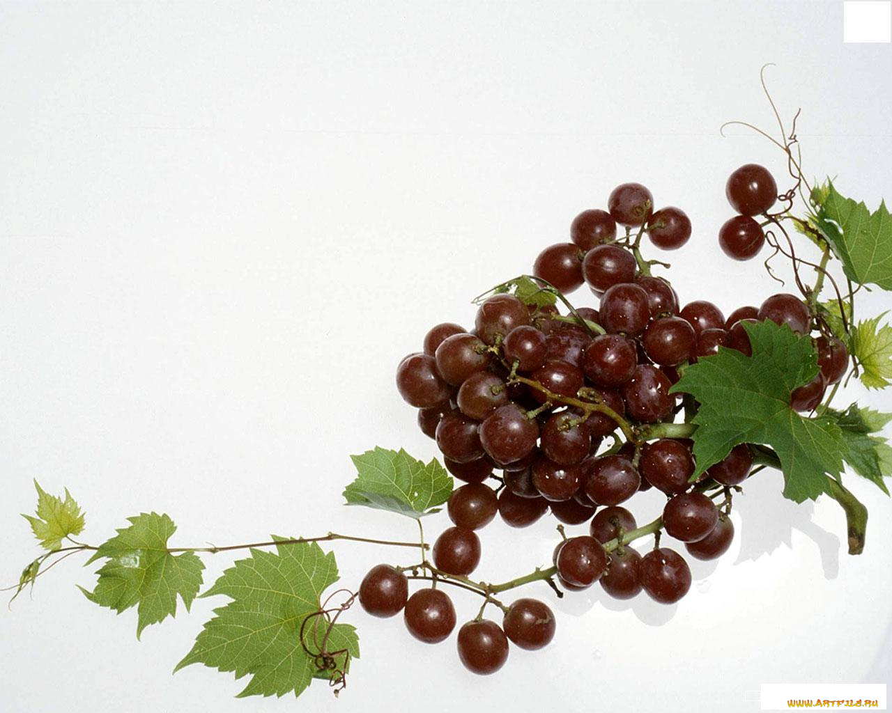 еда, виноград