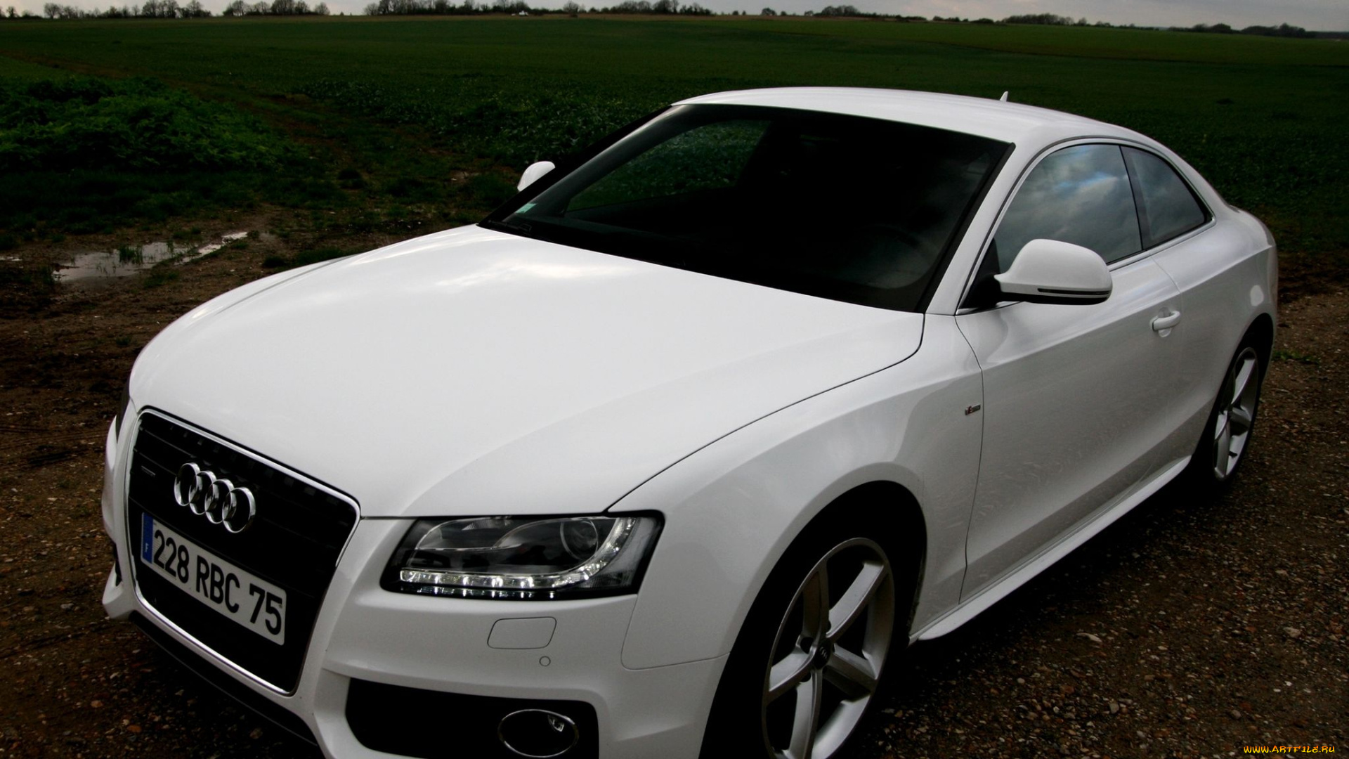 автомобили, audi