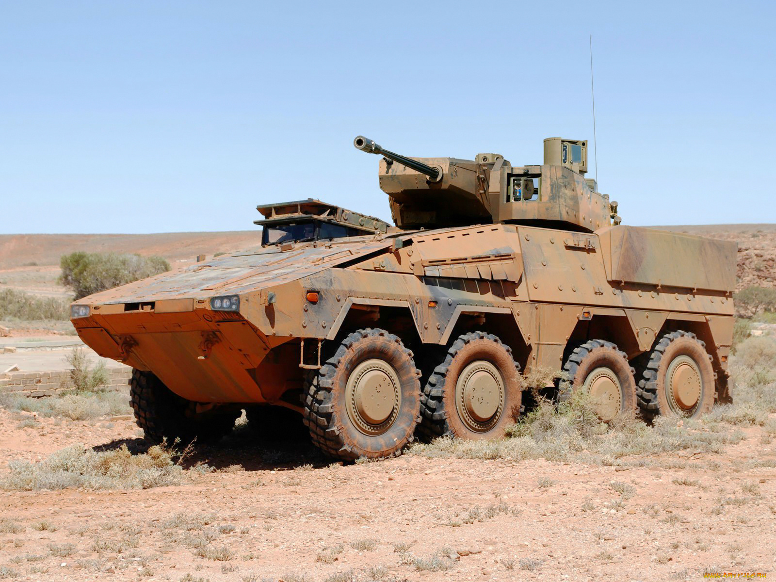 техника, военная, boxer