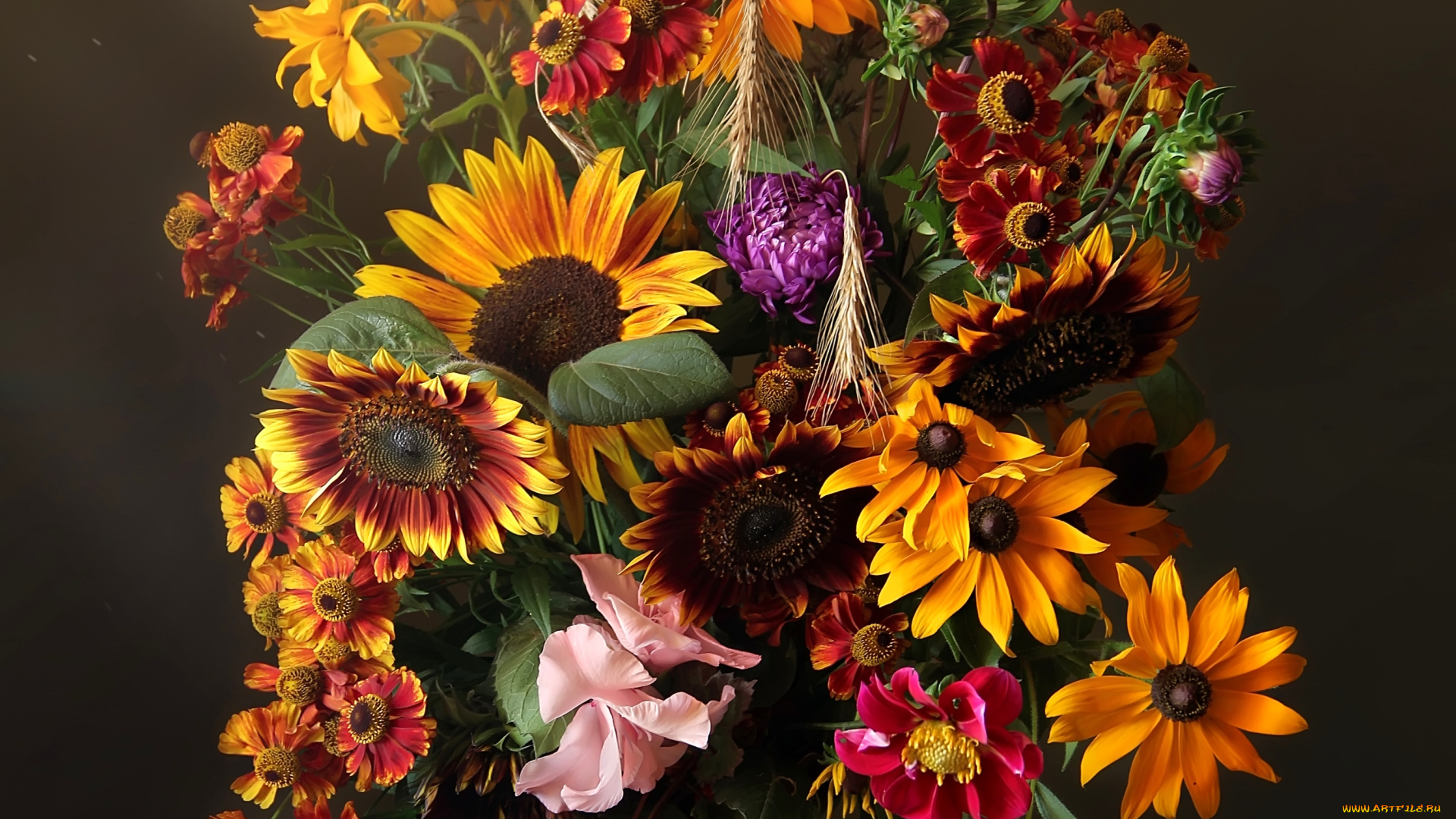 цветы, букеты, , композиции, подсолнух, рудбекия, астры