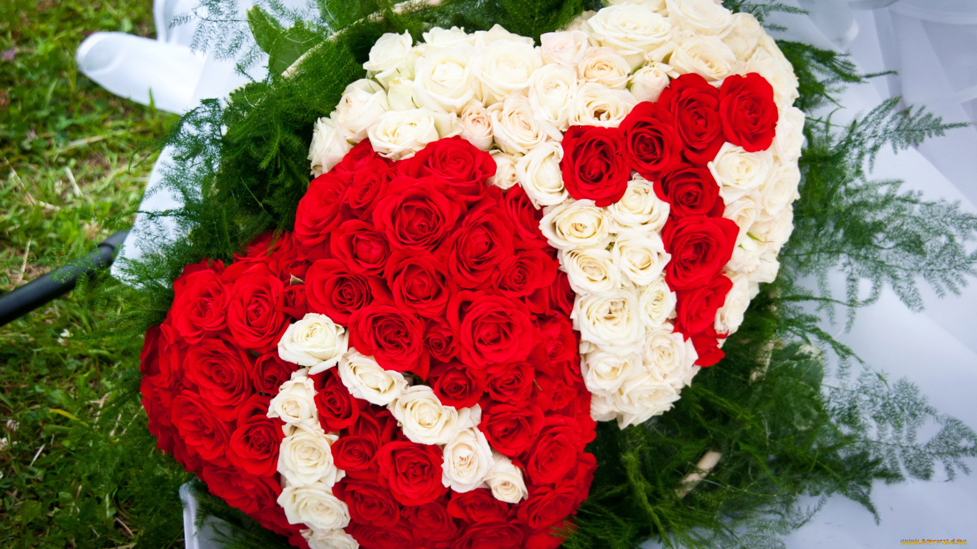 цветы, розы, композиция, сердце